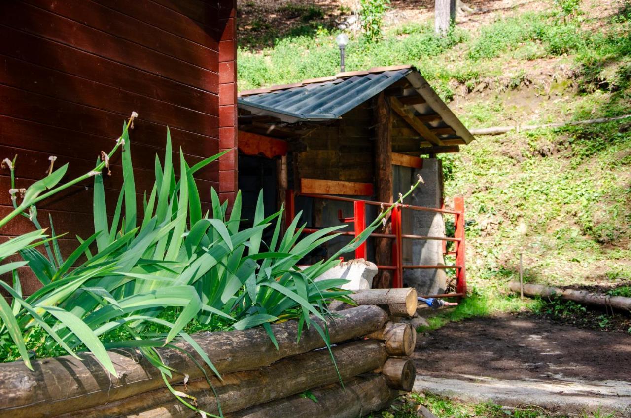 Bellosta Family Country Club Mb Alpe Moiana Armeno Екстер'єр фото