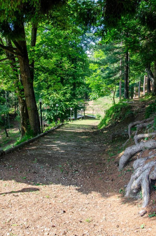 Bellosta Family Country Club Mb Alpe Moiana Armeno Екстер'єр фото